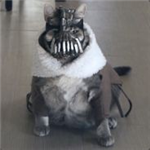 Олег