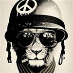 Clansofclash