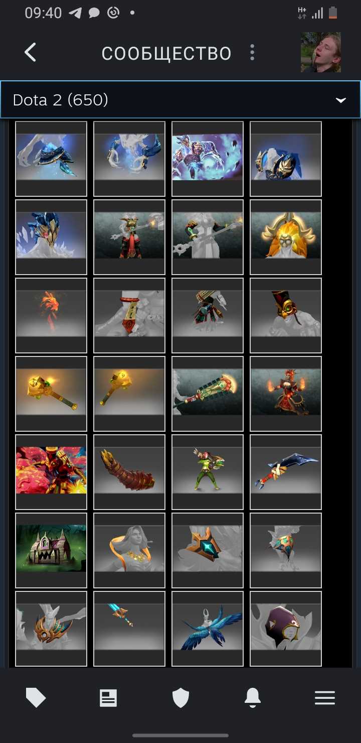 Akun Dota dengan barang langka dan kurir, VAC di KS