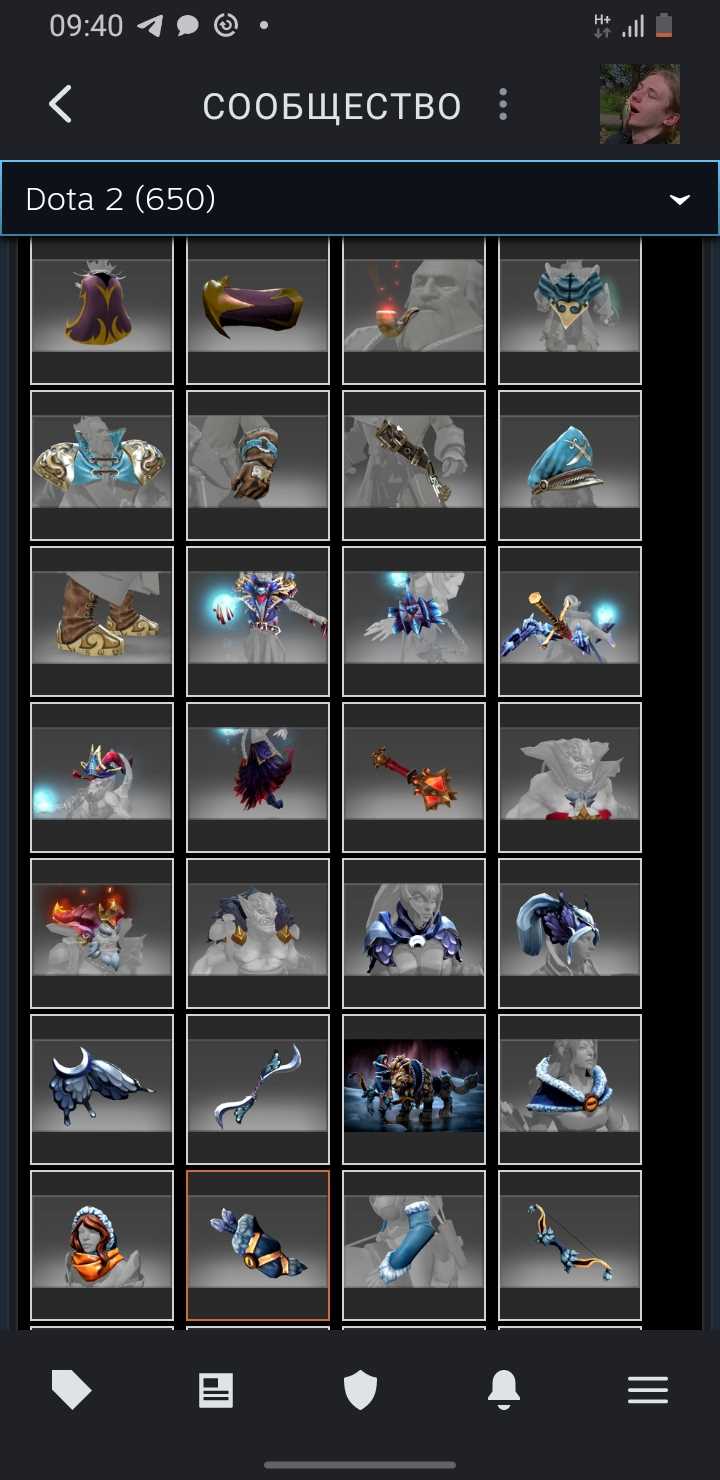Akun Dota dengan barang langka dan kurir, VAC di KS