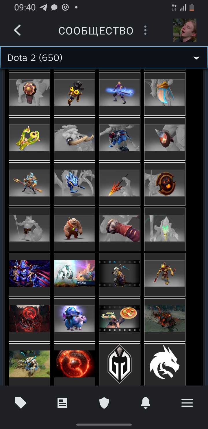 Akun Dota dengan barang langka dan kurir, VAC di KS