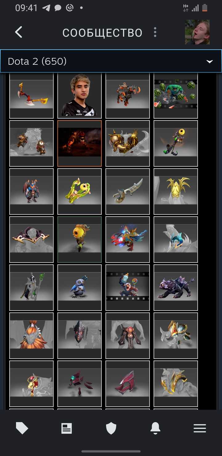 Akun Dota dengan barang langka dan kurir, VAC di KS
