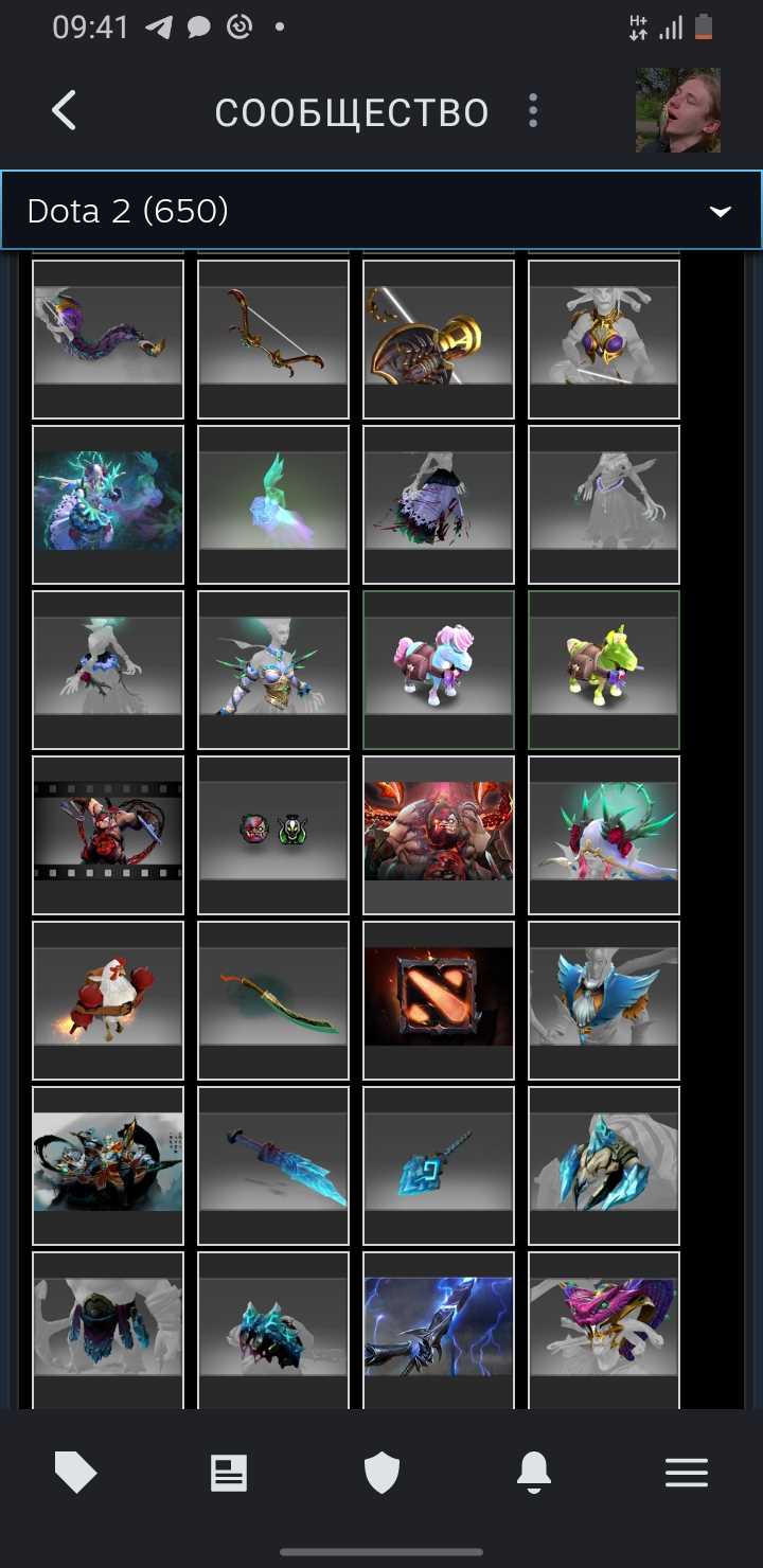Akun Dota dengan barang langka dan kurir, VAC di KS