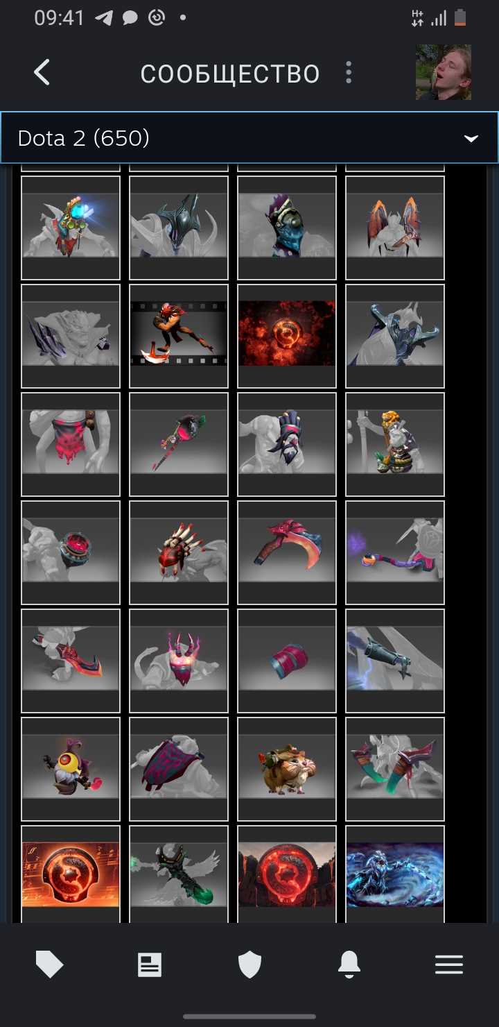 Akun Dota dengan barang langka dan kurir, VAC di KS
