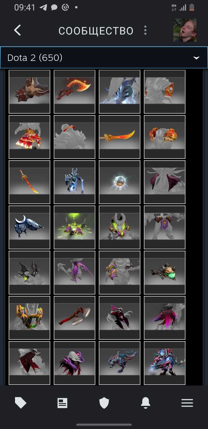 Akun Dota dengan barang langka dan kurir, VAC di KS