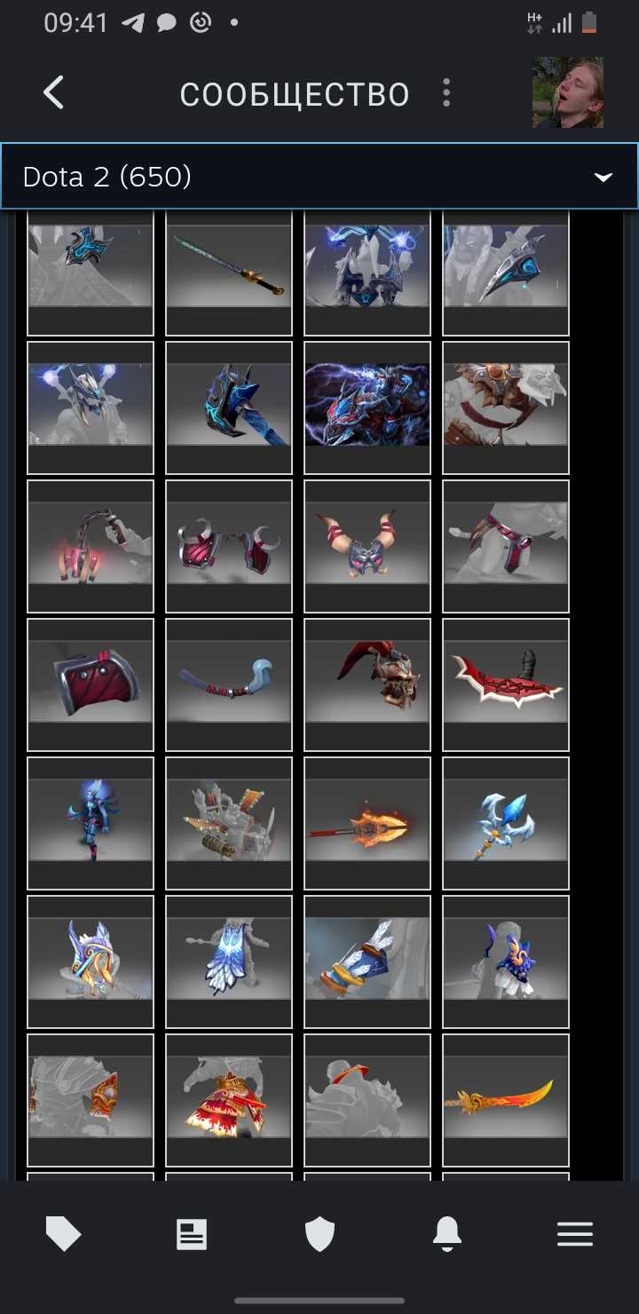 Akun Dota dengan barang langka dan kurir, VAC di KS
