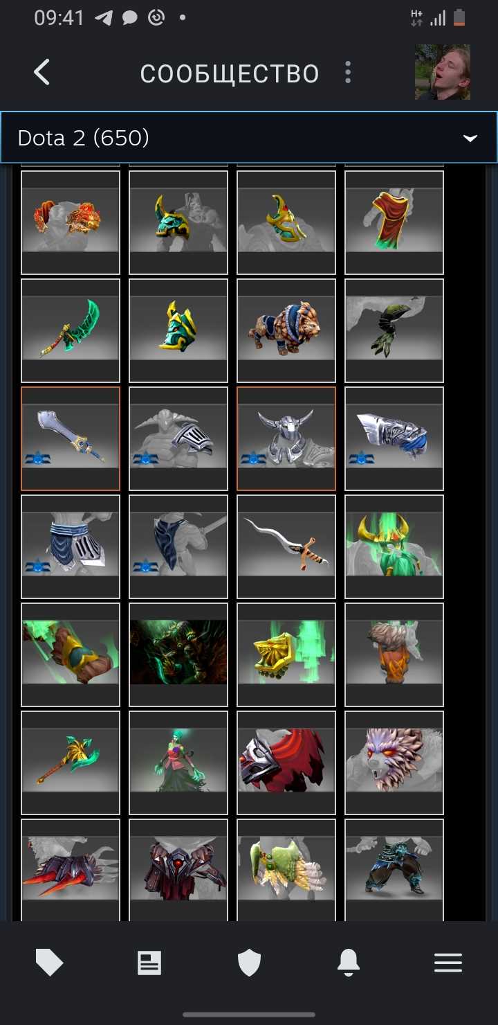 Akun Dota dengan barang langka dan kurir, VAC di KS