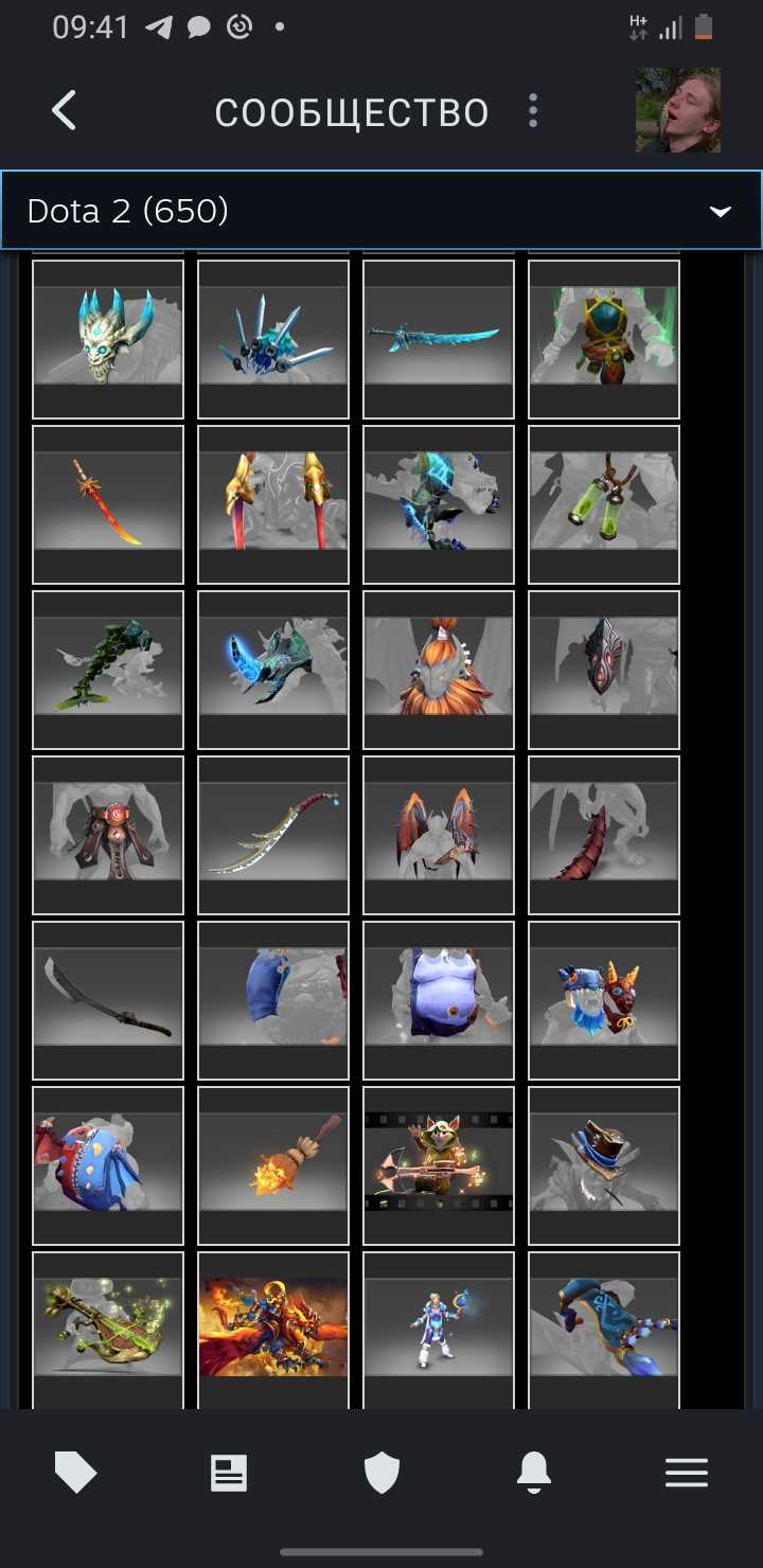 Akun Dota dengan barang langka dan kurir, VAC di KS
