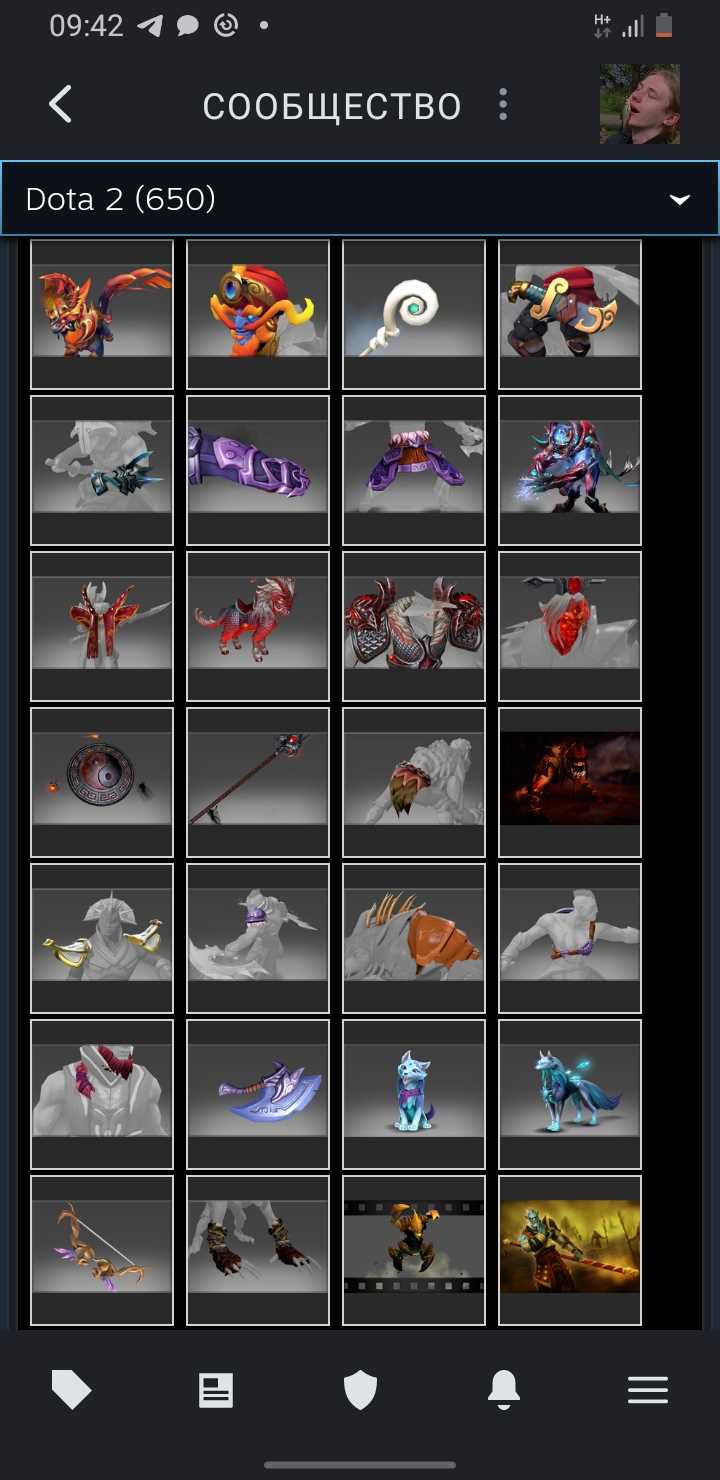 Akun Dota dengan barang langka dan kurir, VAC di KS