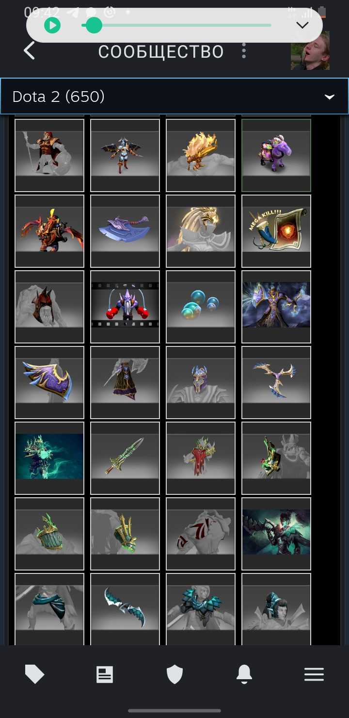 Akun Dota dengan barang langka dan kurir, VAC di KS