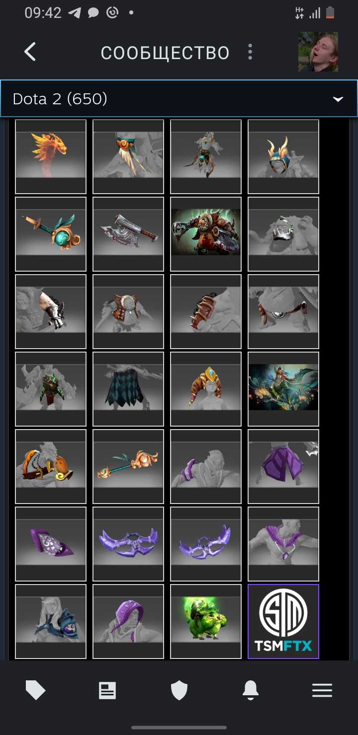 Akun Dota dengan barang langka dan kurir, VAC di KS