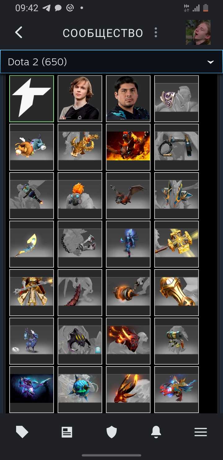 Akun Dota dengan barang langka dan kurir, VAC di KS