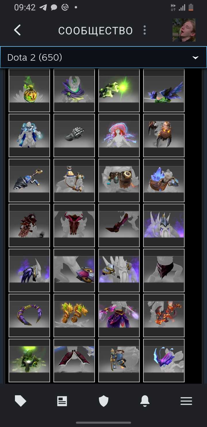 Akun Dota dengan barang langka dan kurir, VAC di KS