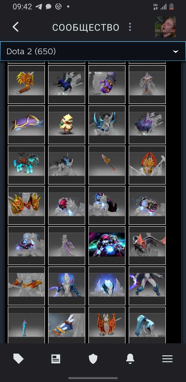 Akun Dota dengan barang langka dan kurir, VAC di KS