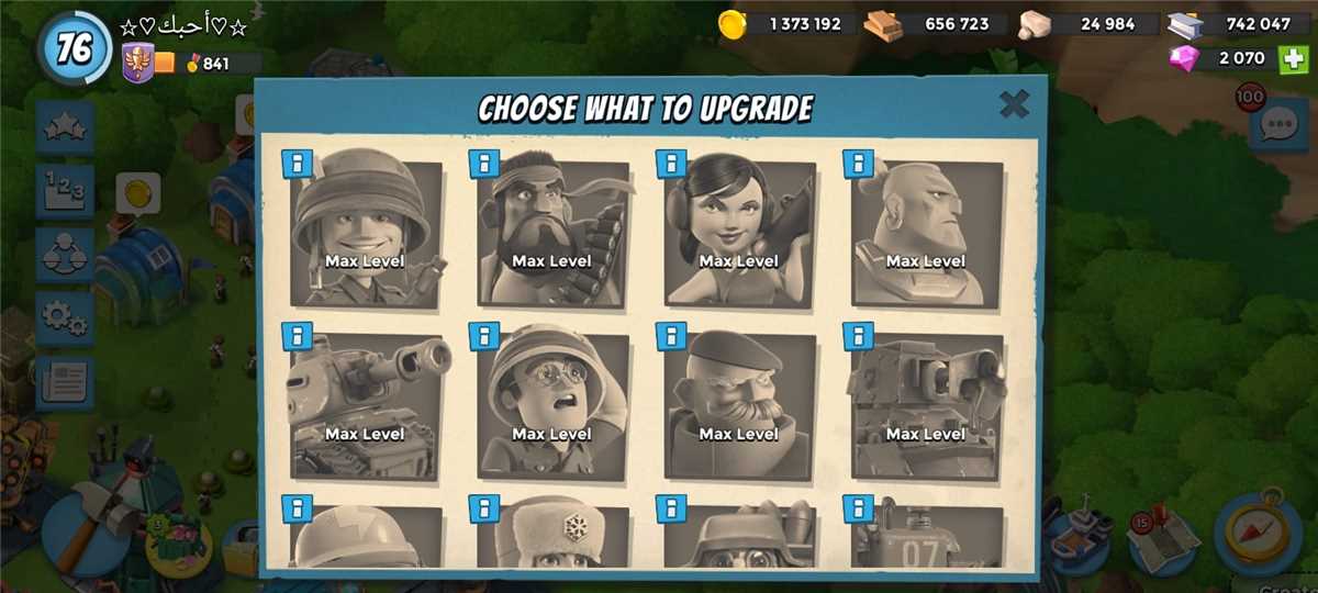 All max.. Lv76. $80 ty..