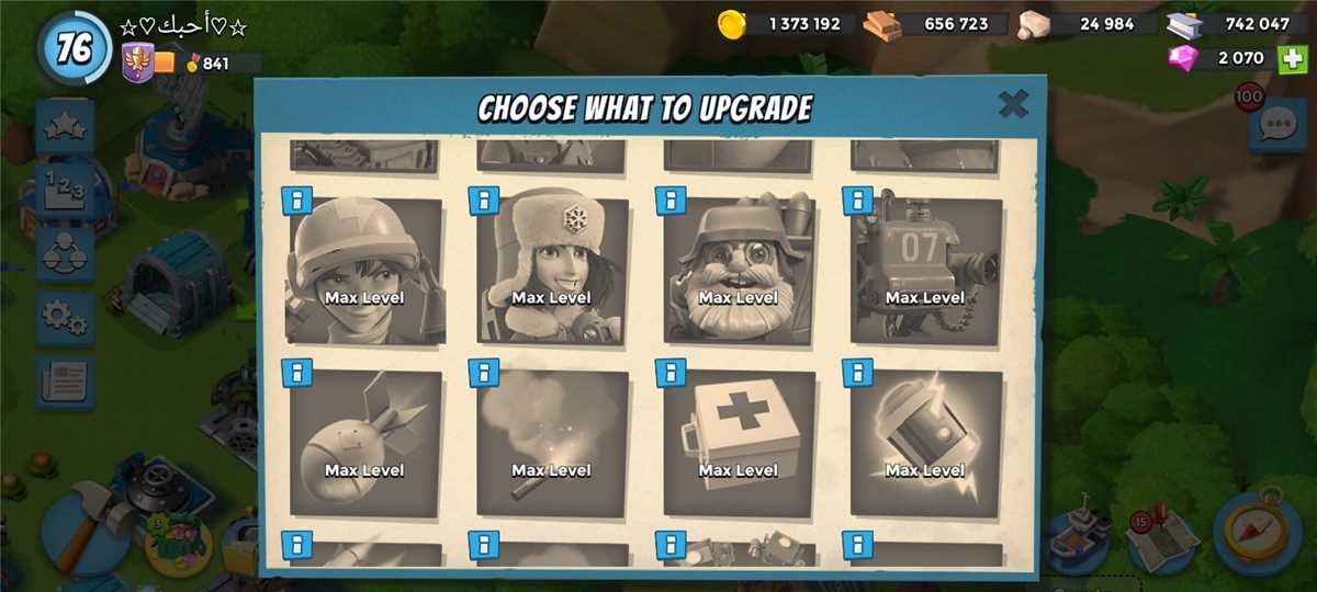 All max.. Lv76. $80 ty..