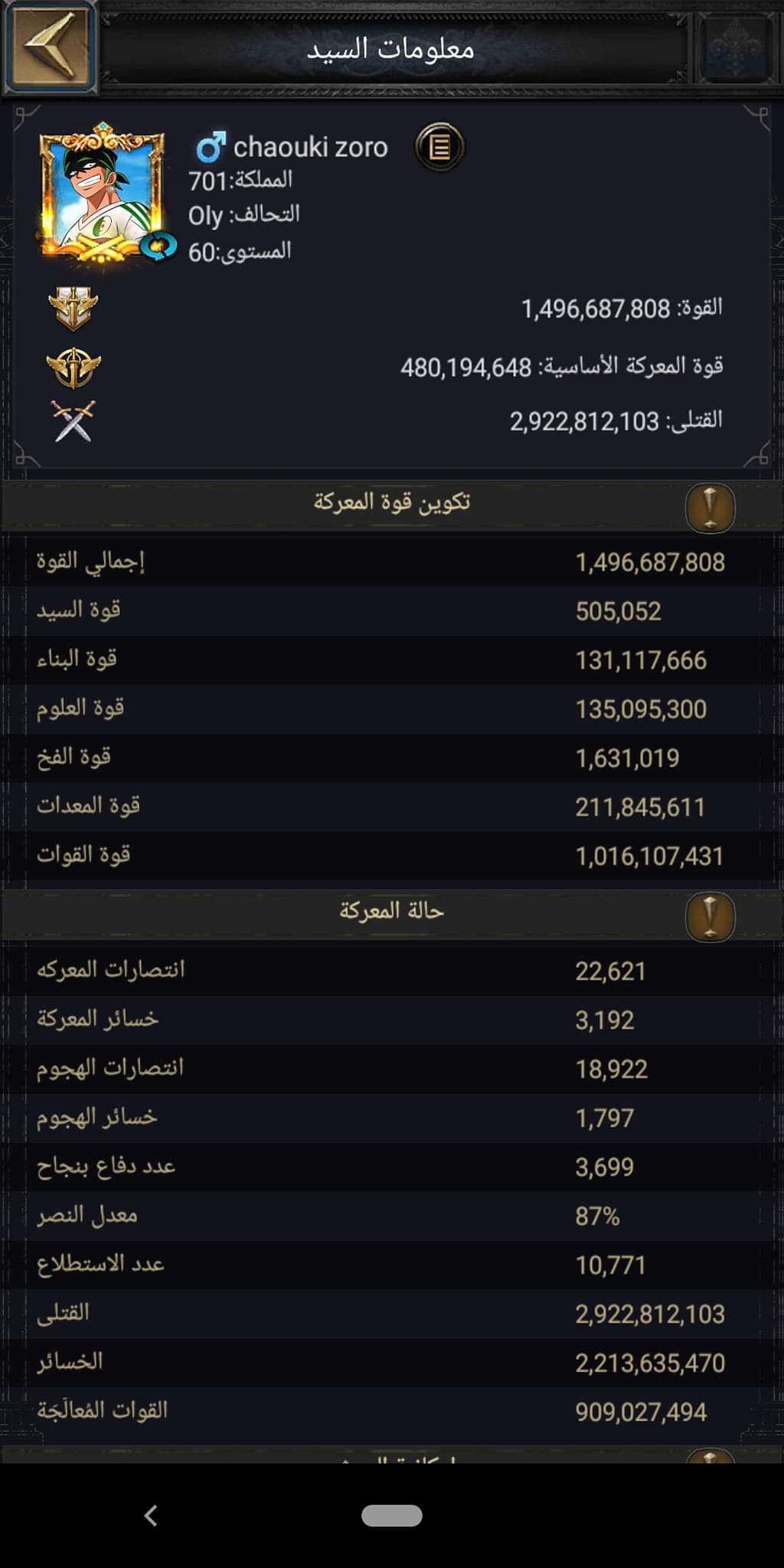 P6 castle , attaque horse +5500/dd+500