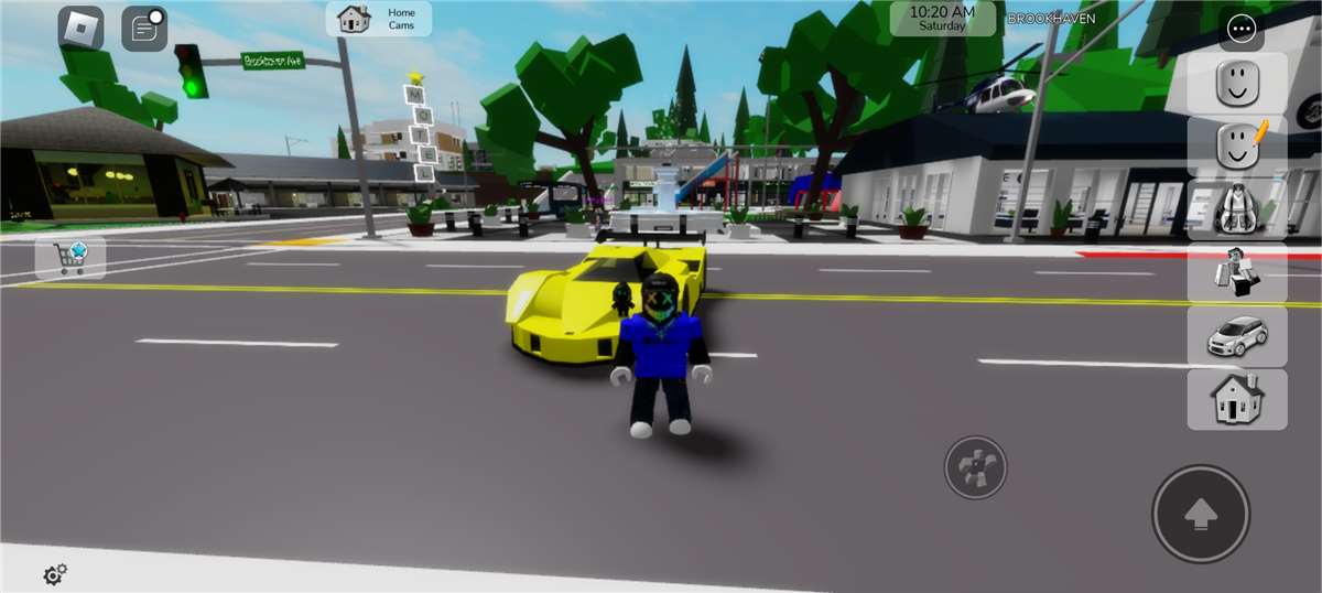 Roblox account 