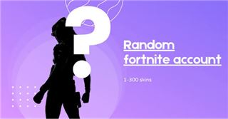 Random Fortnite accounts