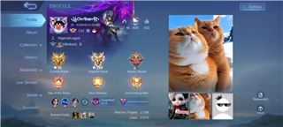 Mlbb Immortal account for sale