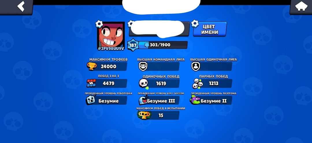 PENJUALAN AKUN BRAWL STARS