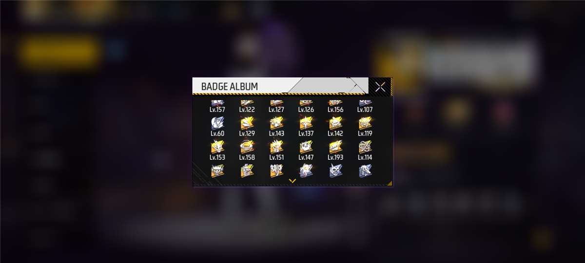 Elite Free Fire Account | Level 80 | All Seas