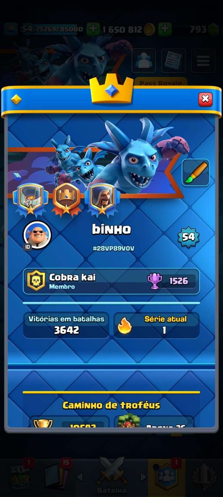 conta nivel 15 com 9 anos 