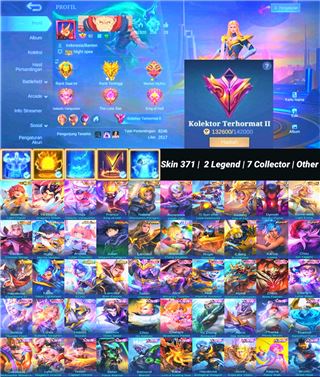 Skin 371 | 2 Legend | 7 Collector | Other