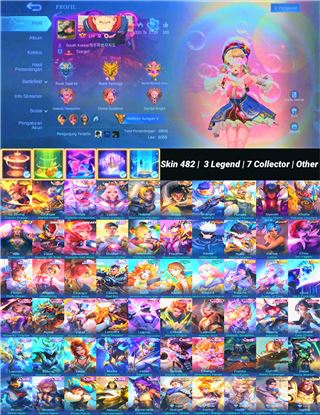 Skin 482 | 3 Legend | 7 Collector | Other