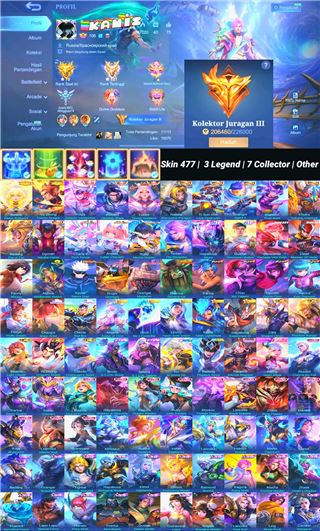 Skin 477 | 3 Legend | 7 Collector | Other