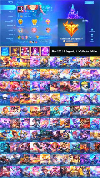 Skin 370 | 2 Legend | 11 Collector | Other