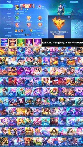 Skin 421 | 4 Legend | 7 Collector | Other