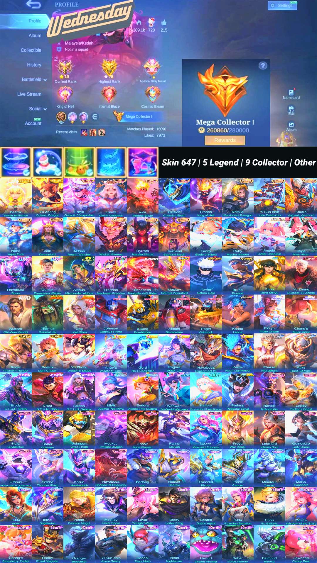 Skin 647 | 5 Legend | 9 Collector | Other