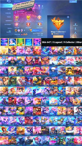 Skin 647 | 5 Legend | 9 Collector | Other