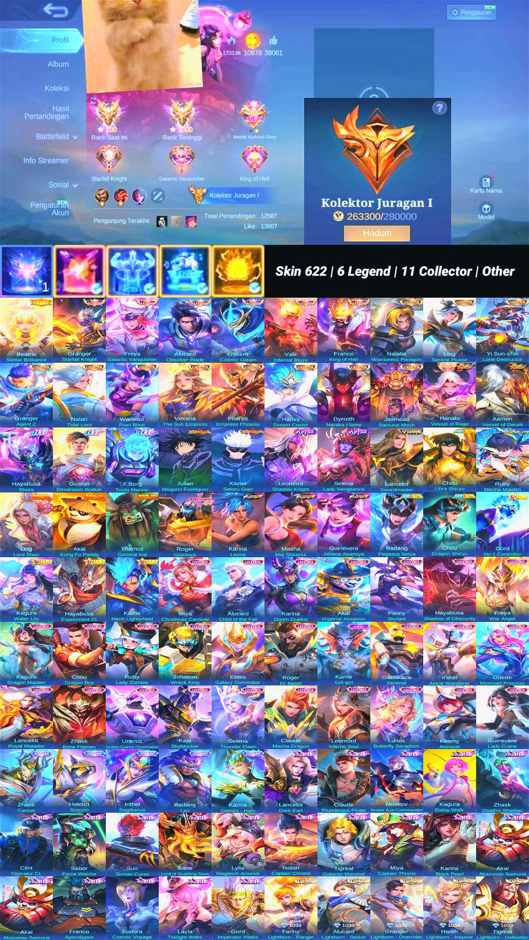 Skin 622 | 6 Legend | 11 Collector | Other