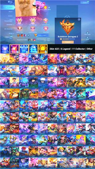 Skin 622 | 6 Legend | 11 Collector | Other