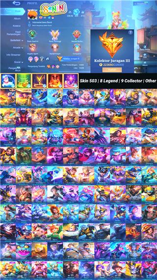 Skin 503 | 8 Legend | 9 Collector | Other