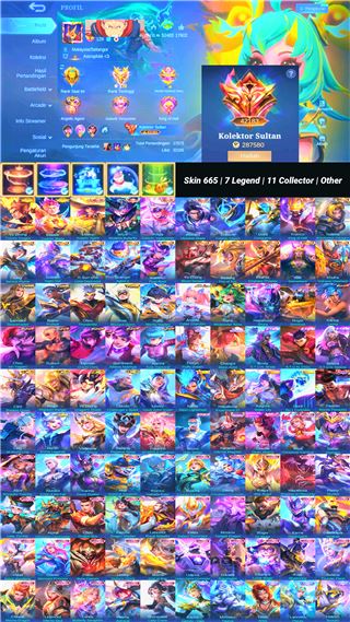 Skin 665 | 7 Legend | 11 Collector | Other