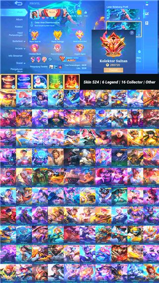 Skin 524 | 6 Legend | 16 Collector | Other