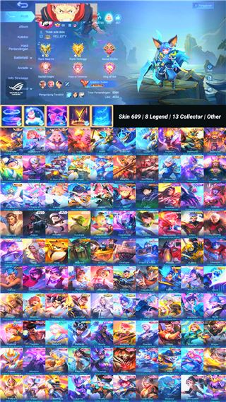 Skin 609 | 8 Legend | 13 Collector | Other