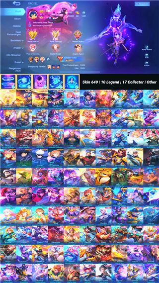 Skin 649 | 10 Legend | 17 Colletor | Other