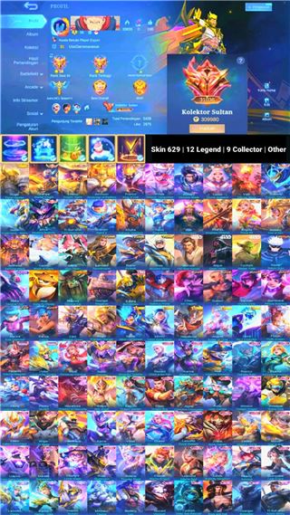 Skin 629 | 12 Legend | 9 Collector | Other