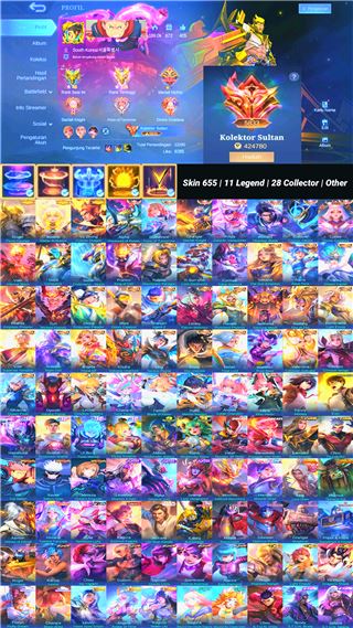 Skin 655 | 11 Legend | 28 Collector | Other