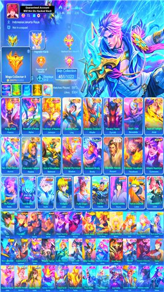 Skin 451 | 3 Legend | 8 Collector | Other