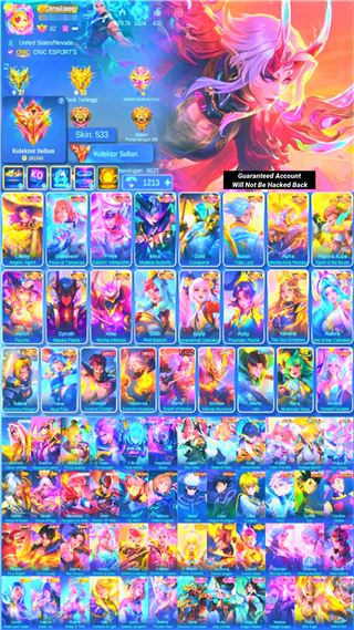 Skin 533 | 5 Legend | 13 Collector | Other