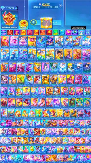 Skin 715 | 6 Legend | 18 Collector | Other