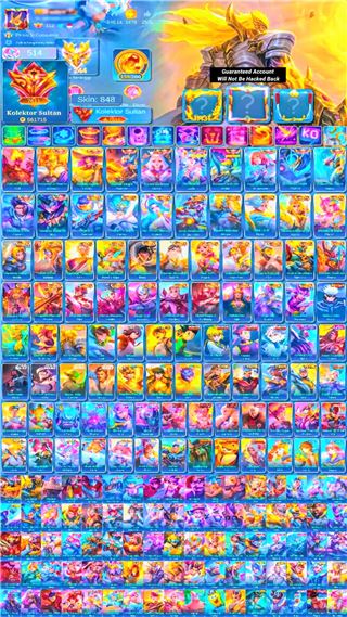 Skin 848 | 12 Legend | 29 Collector | Other