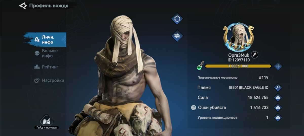 Pemimpin akun lvl 24